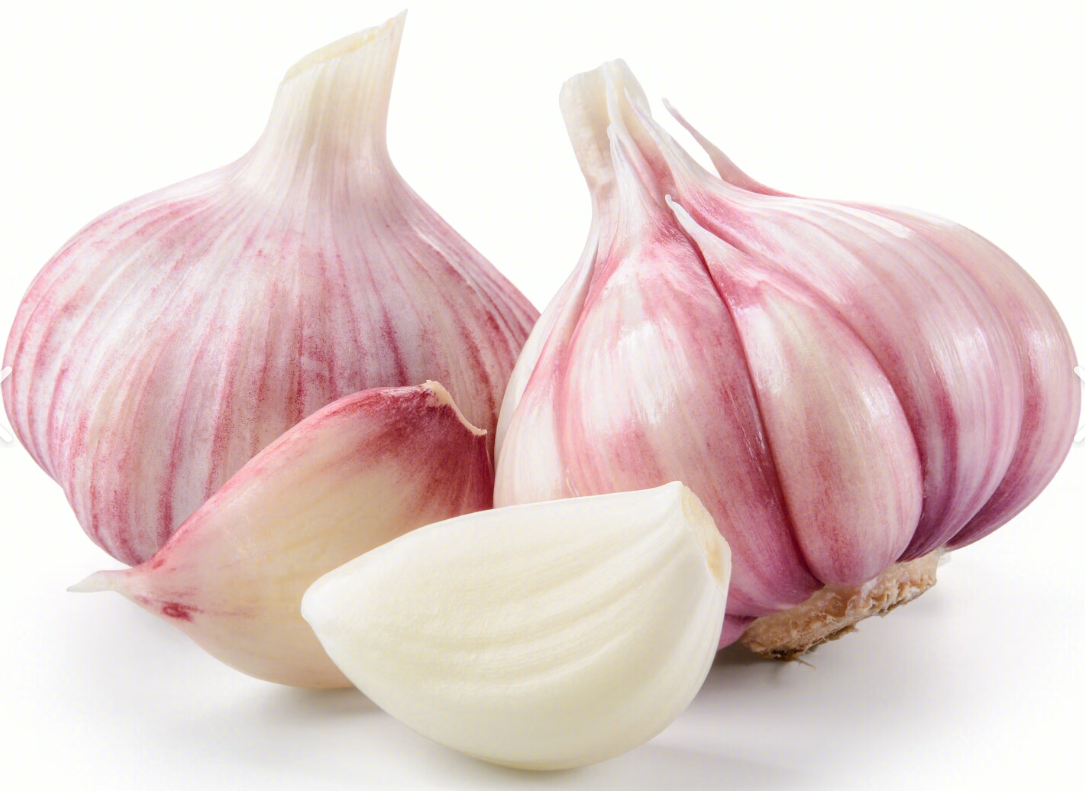 garlic